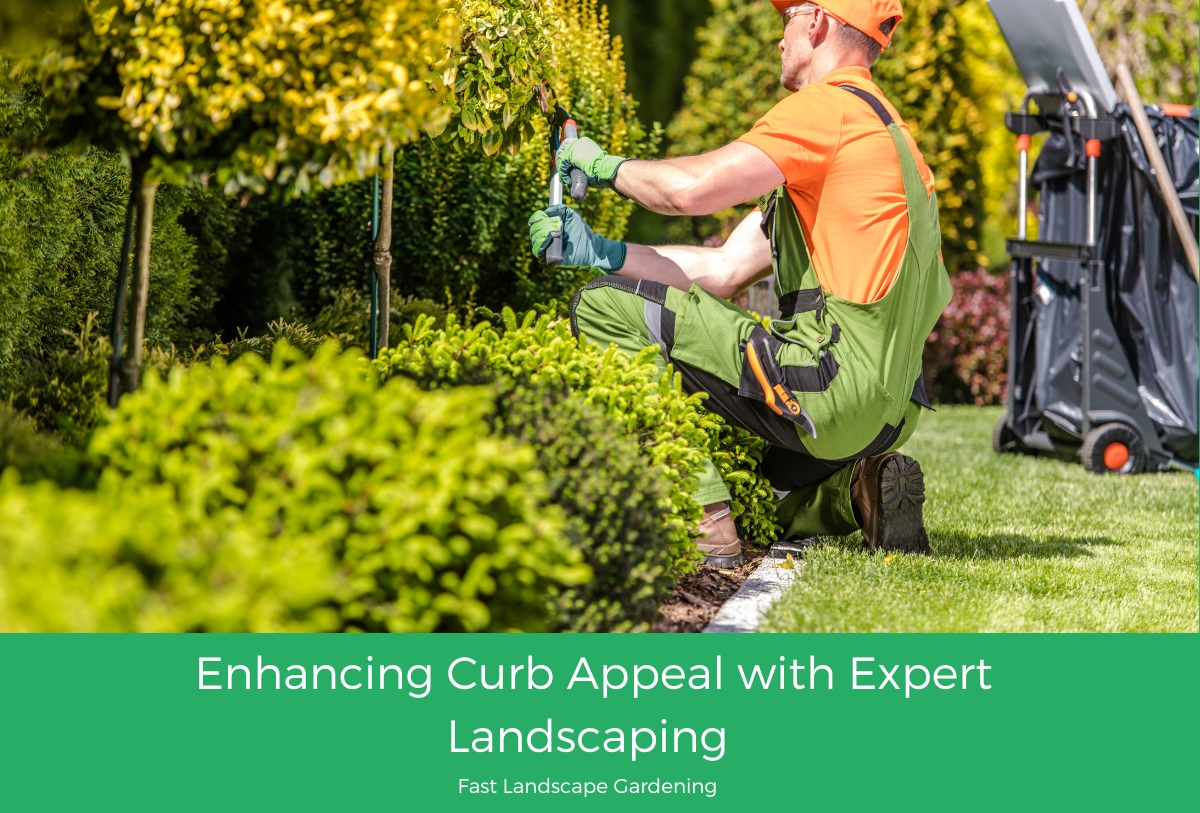 Landscaping